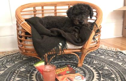 Tận hưởng một mùa hè Hot Girl lười biếng với dưa hấu Margarita